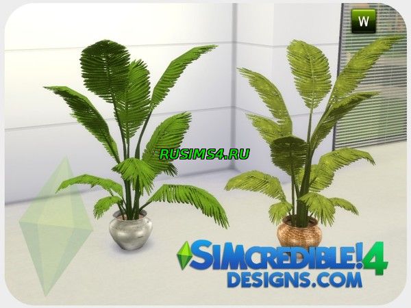 Папоротник от SIMcredible!